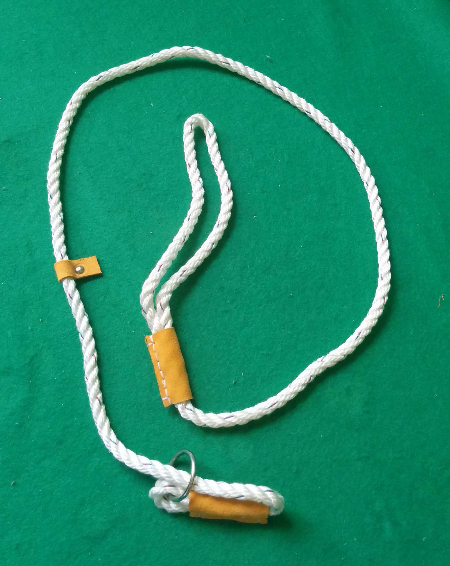 Bisley Field Trial Dog Lead Aaron Wheeler